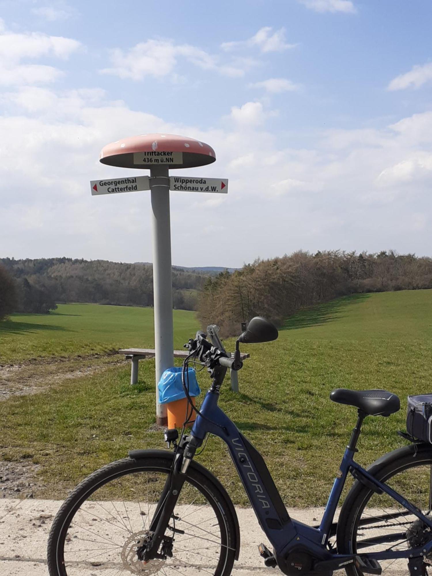 Ferienwohnung Am Wald Catterfeld 外观 照片